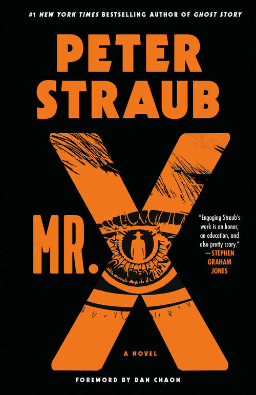 Book cover of Mr. X: A Novel