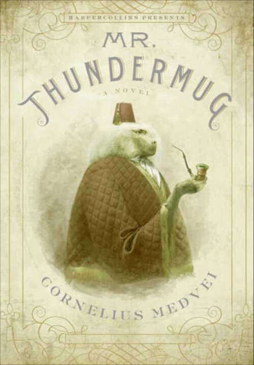 Book cover of Mr. Thundermug: A Novel