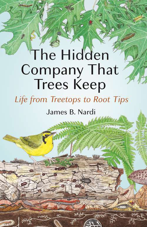 Book cover of The Hidden Company That Trees Keep: Life from Treetops to Root Tips