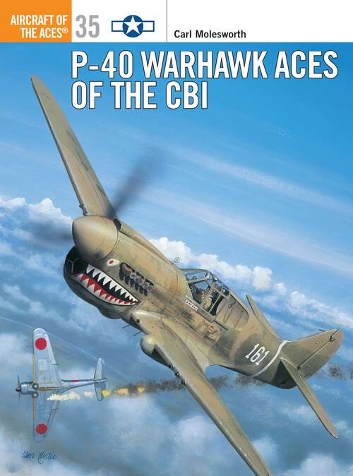 Book cover of P-40 Warhawk Aces of the CBI