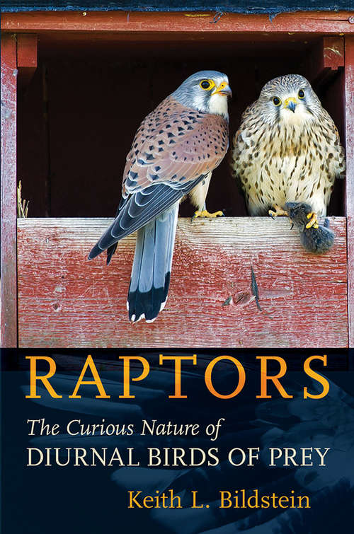 Book cover of Raptors: The Curious Nature of Diurnal Birds of Prey (Birdlife Conservation Ser.: Volume 9)