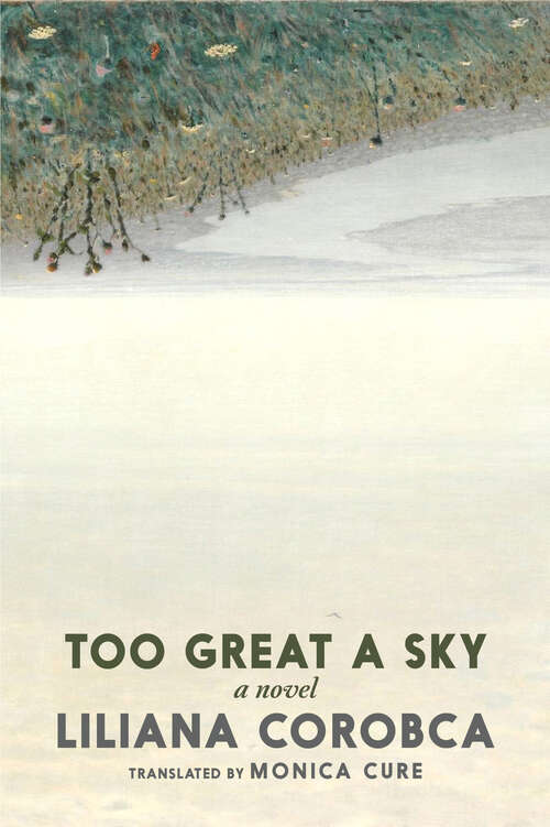 Book cover of Too Great a Sky: A Novel