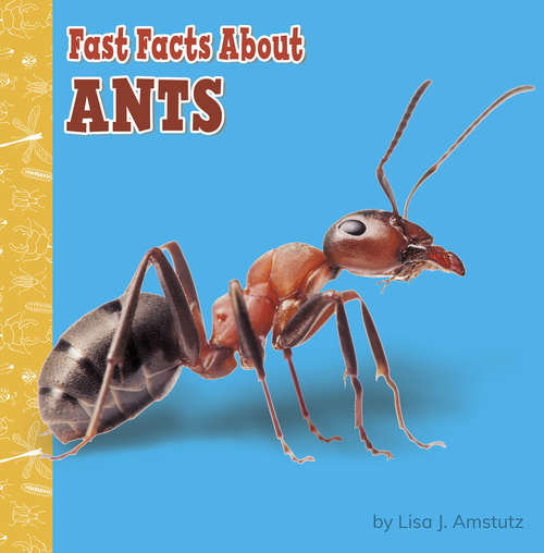 Book cover of Fast Facts About Ants (Fast Facts About Bugs & Spiders)
