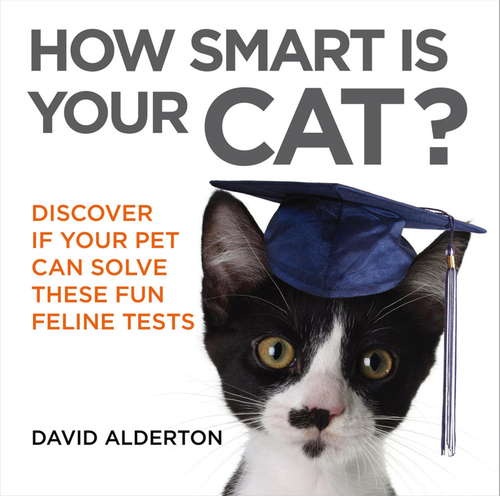 Book cover of How Smart Is Your Cat?: Discover If Your Pet Can Solve These Fun Feline Tests