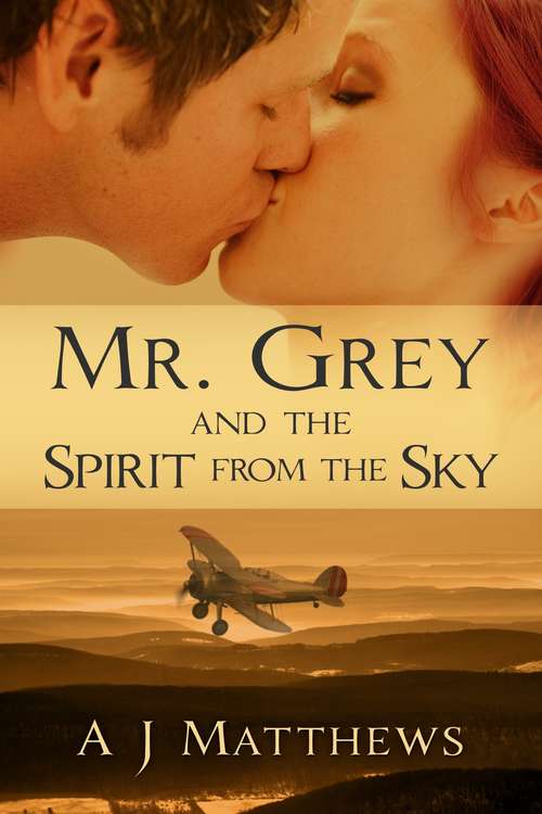 Book cover of Mr. Grey and the Spirit from the Sky