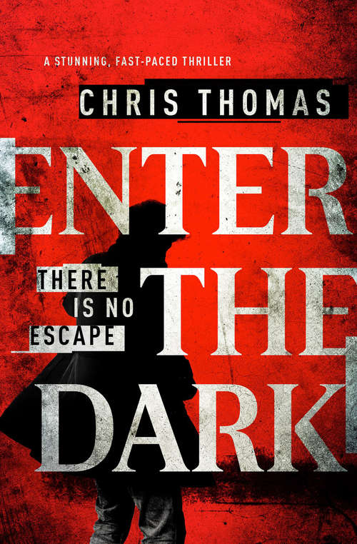 Book cover of Enter the Dark: A Stunning, Fast-Paced Thriller