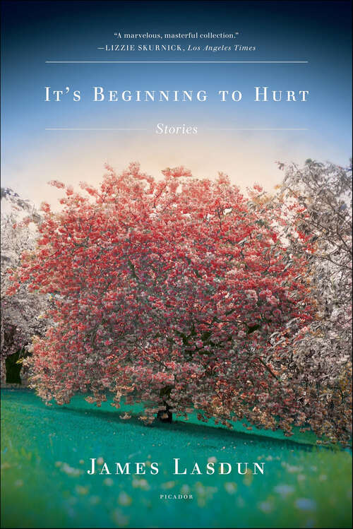 Book cover of It's Beginning to Hurt: Stories
