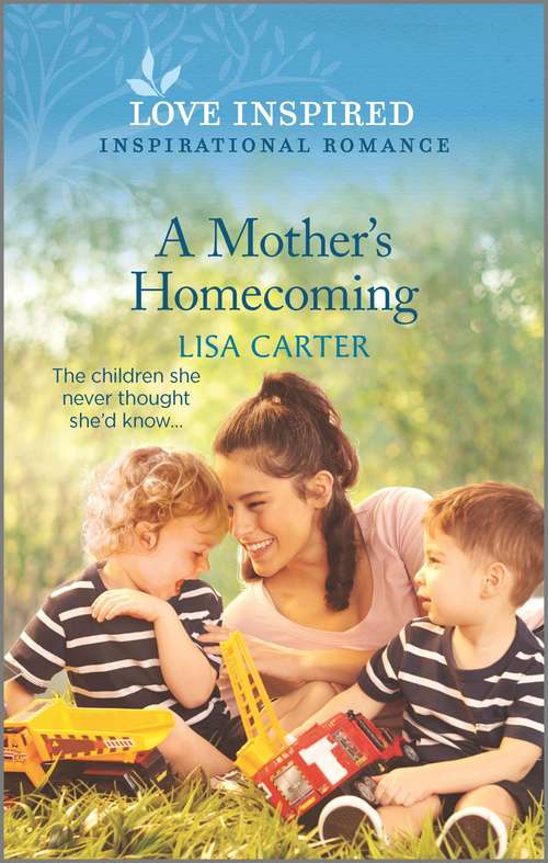 Book cover of A Mother's Homecoming (Original)