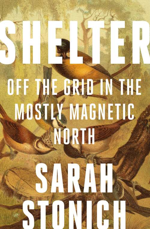 Book cover of Shelter: Off the Grid in the Mostly Magnetic North