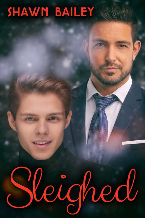 Book cover of Sleighed