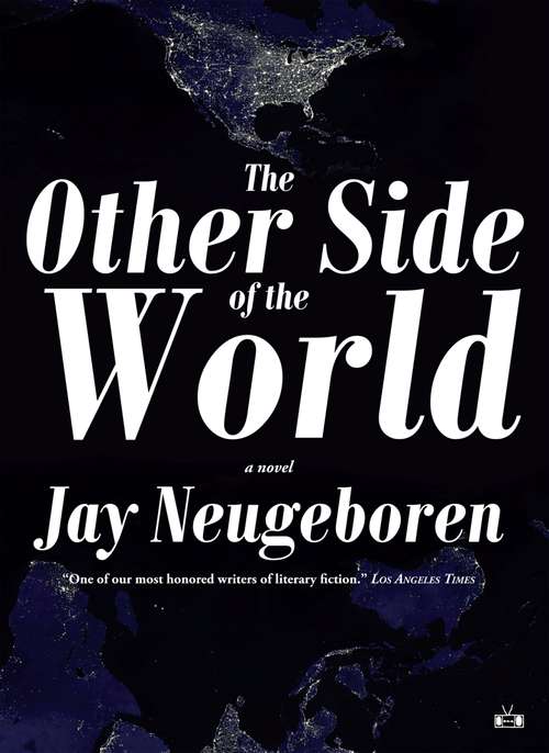 Book cover of The Other Side of the World