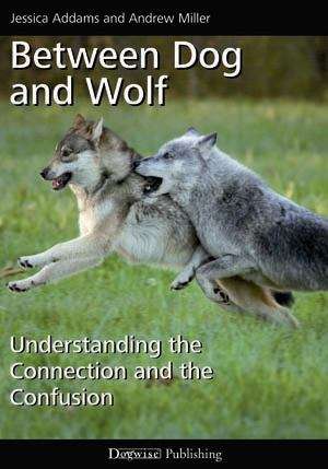 Book cover of Between Dog and Wolf: Understanding the Connection and the Confusion
