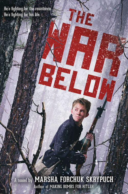 Book cover of The War Below