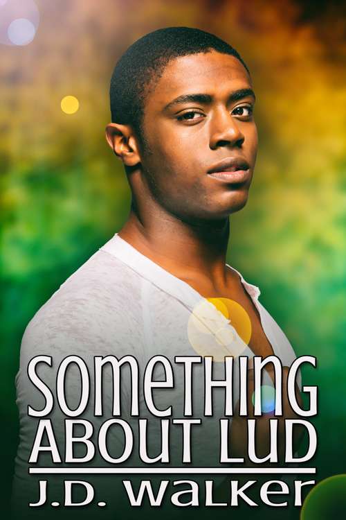 Book cover of Something About Lud