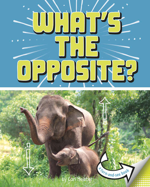 Book cover of What's the Opposite?: A Turn-and-See Book (What's Next?)