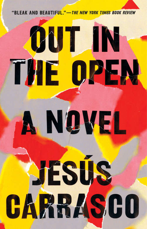 Book cover of Out in the Open: A Novel