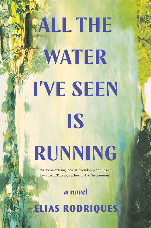 Book cover of All the Water I've Seen Is Running: A Novel