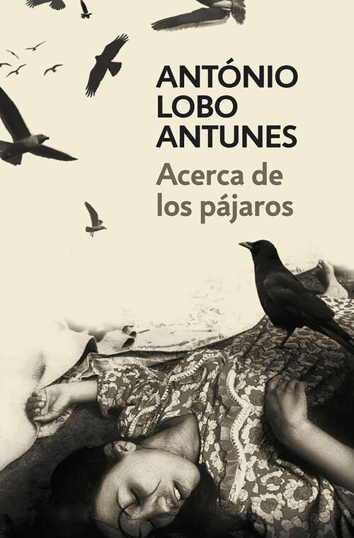 Book cover of Acerca de los pájaros