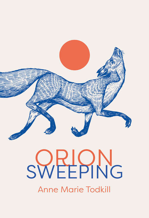 Book cover of Orion Sweeping