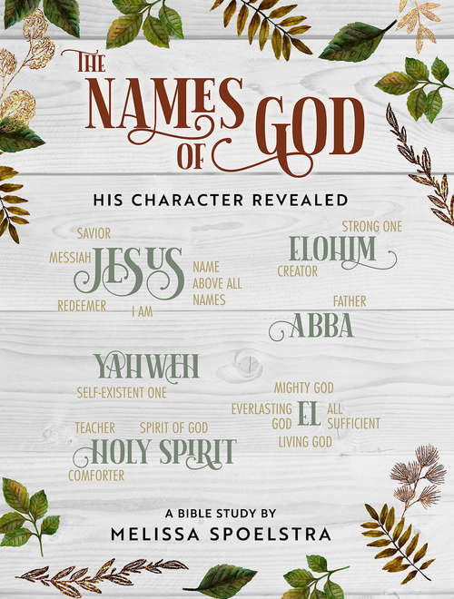 Book cover of The Names of God - Women's Bible Study Participant Workbook: His Character Revealed (The Names of God)