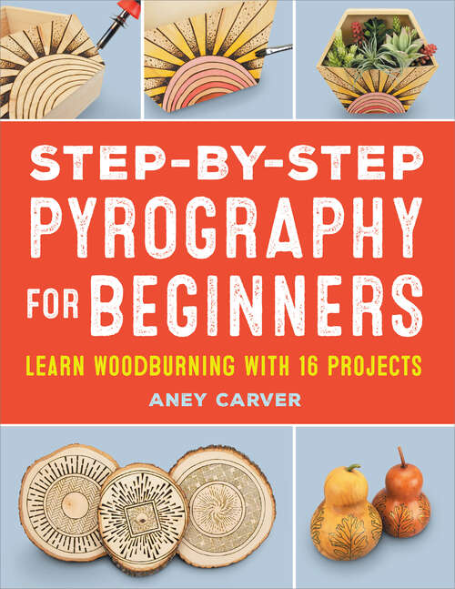 Book cover of Step-by-Step Pyrography for Beginners