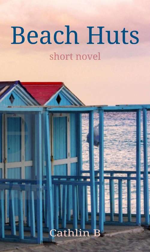 Book cover of Beach Huts