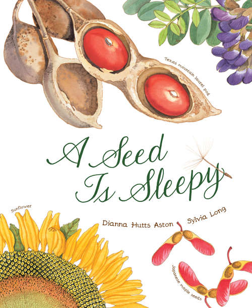 Book cover of A Seed is Sleepy