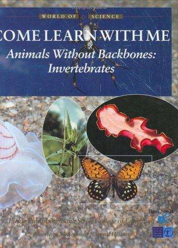 Book cover of Animals Without Backbones: Invertebrates