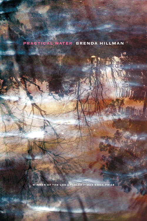 Book cover of Practical Water (Wesleyan Poetry Series)