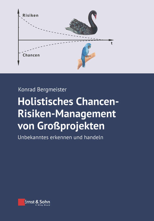 Book cover of Holistisches Chancen-Risiken-Management von Grossprojekten: Unbekanntes erkennen und handeln