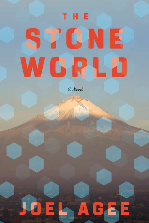Book cover of The Stone World