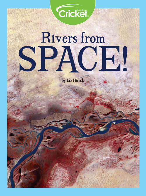 Book cover of Rivers from Space!