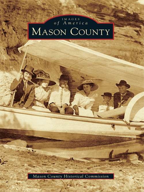 Book cover of Mason County