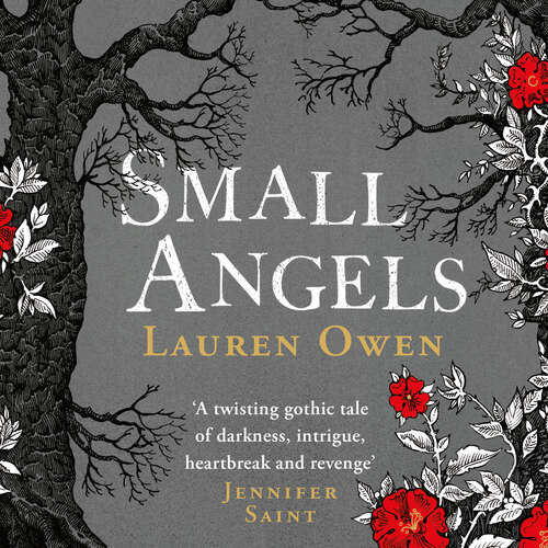 Book cover of Small Angels: 'A twisting gothic tale of darkness, intrigue, heartbreak and revenge' Jennifer Saint