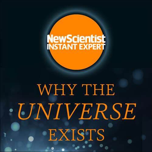 Book cover of Why the Universe Exists: How particle physics unlocks the secrets of everything (New Scientist Instant Expert)