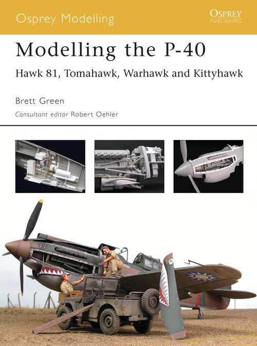 Book cover of Modelling the P-40