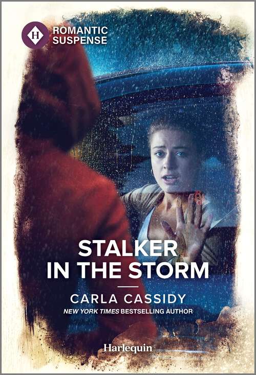 Book cover of Stalker in the Storm (Original) (The Scarecrow Murders #4)