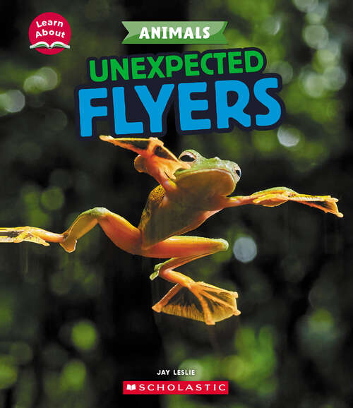 Book cover of Unexpected Flyers (Learn About)