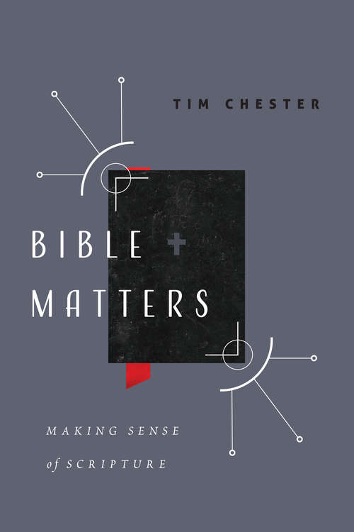 Book cover of Bible Matters: Making Sense of Scripture