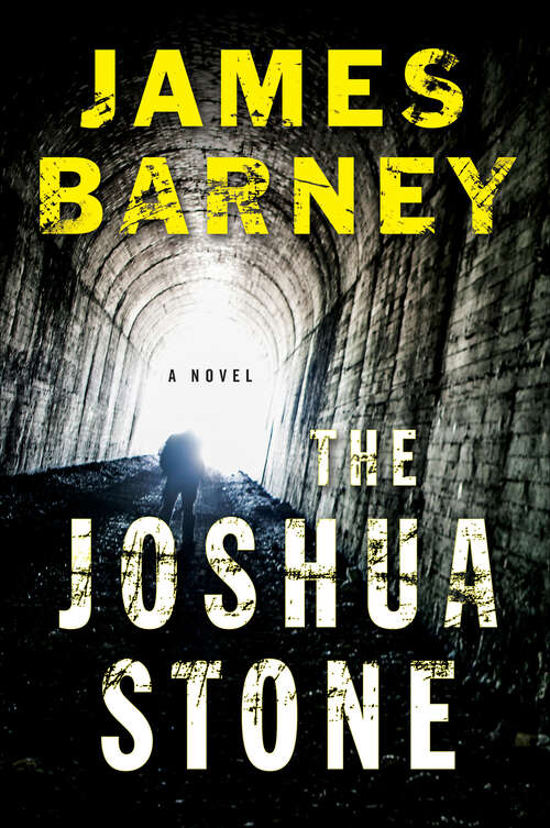 Book cover of The Joshua Stone