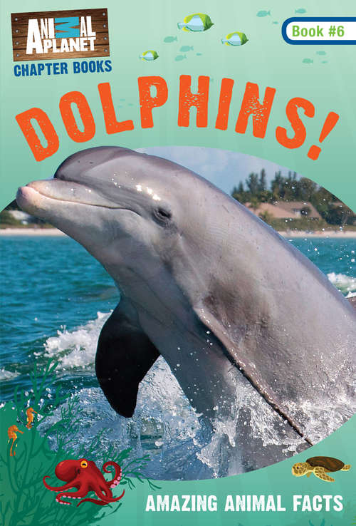 Book cover of Dolphins! (Animal Planet Chapter Bks. #6)