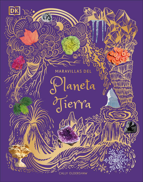 Book cover of Maravillas del Planeta Tierra (DK Children's Anthologies)