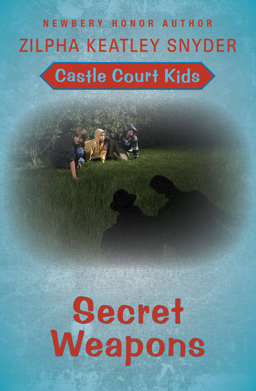 Book cover of Secret Weapons (Digital Original) (Castle Court Kids #4)