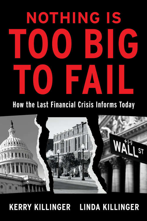 Book cover of Nothing Is Too Big to Fail: How the Last Financial Crisis Informs Today