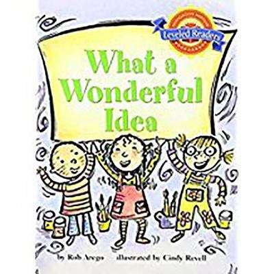 Book cover of What a Wonderful Idea (Leveled Readers 2.6.3)