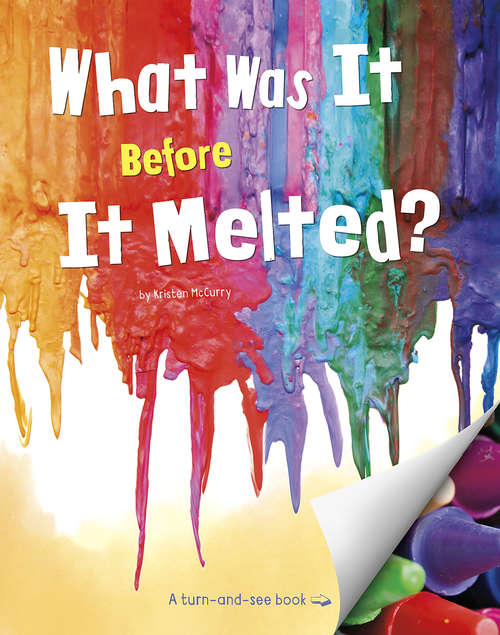 Book cover of What Was It Before It Melted? (What Was It?)