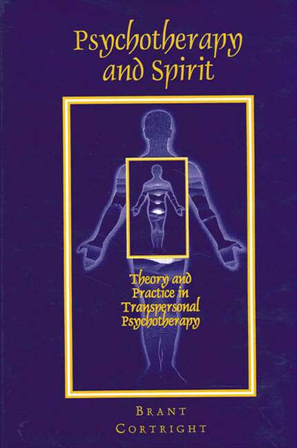 Book cover of Psychotherapy and Spirit: Theory and Practice in Transpersonal Psychotherapy (SUNY series in the Philosophy of Psychology)