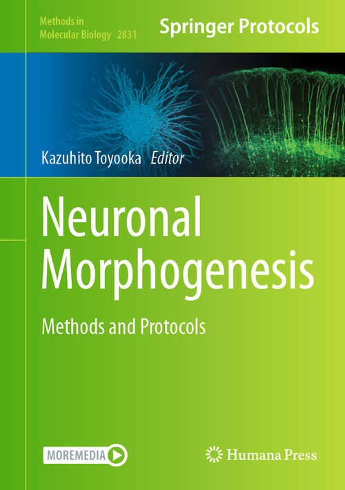 Book cover of Neuronal Morphogenesis: Methods and Protocols (2024) (Methods in Molecular Biology #2831)