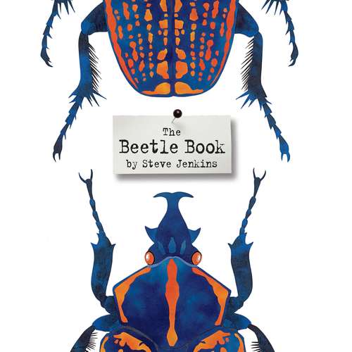 Book cover of The Beetle Book