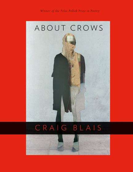 Book cover of About Crows